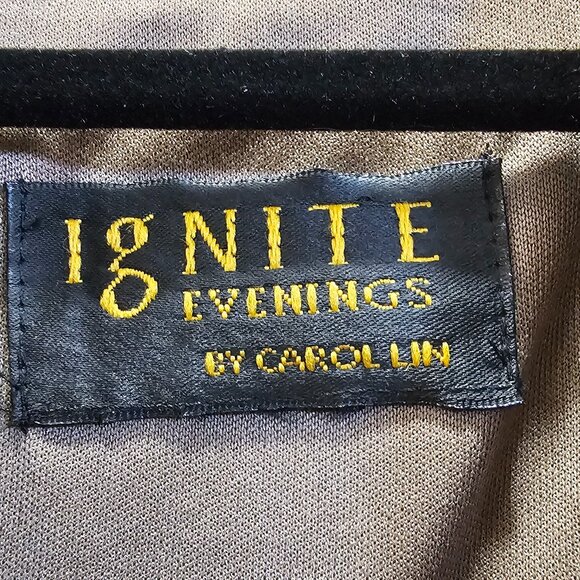 Ignite Evenings by Carol Lin Metallic Embellished Jacket - Picture 3 of 6